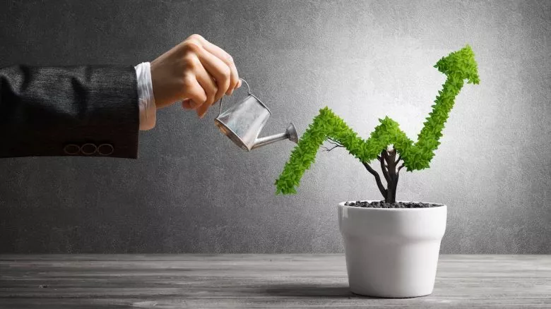 تاثير حرب اوكرانيا على صناعة الديكور وامكانيات الاستثمار فيها